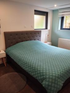 um quarto com uma cama grande e um edredão verde em Le Ptit Lou em Kaysersberg