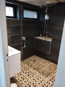 uma casa de banho com um chuveiro, um WC e um lavatório. em Le Ptit Lou em Kaysersberg