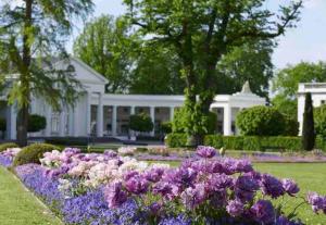 un jardin avec des fleurs violettes en face d'une maison blanche dans l'établissement Moderne Ferienwohnung im Herzen von Bad Oeynhausen für bis zu 7 Personen, à Bad Oeynhausen