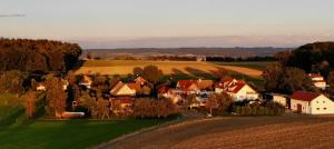 un piccolo villaggio in mezzo a un campo di Zettis Ferienhäusle a Berg bei Ravensburg