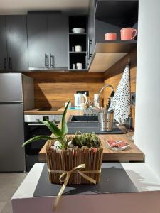 a kitchen with a table with a plant in a basket at Apartment Fiore in Smederevo +8 photos