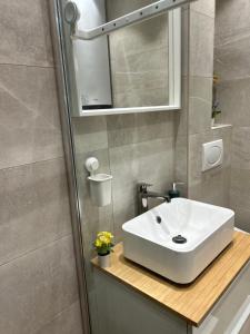 a bathroom with a white sink and a mirror at Apartment Fiore in Smederevo