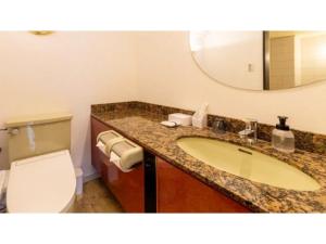 bagno con lavandino, servizi igienici e specchio di SHIZUKUISHI RESORT HOTEL - Vacation STAY 29476v a Shizukuishi