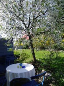 una mesa con un mantel blanco sentado bajo un árbol en Komfortables Ferienhaus mit eigener Sauna en Gunzenhausen