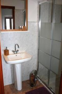 La salle de bains est pourvue d'un lavabo et d'une douche. dans l'établissement Charme du village-Plage à 10mn, à Corbara