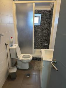 ein Bad mit einer Dusche, einem WC und einem Waschbecken in der Unterkunft Biá's House in Nazaré
