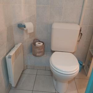 baño con aseo y papel higiénico en Appartement 2p Le Havre en Le Havre