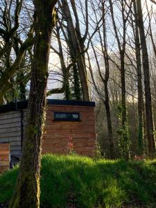 a small cabin in the woods with a tree at The Cabin in the Woods in Romsey