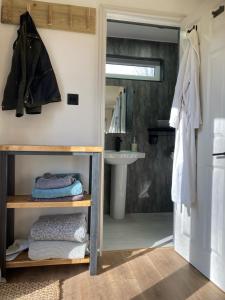 a bathroom with a shower and a sink at The Cabin in the Woods in Romsey
