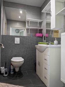 uma casa de banho com um WC e um lavatório em Plein centre de Visé em Visé