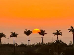 an orange sunset with palm trees in the foreground at Tenerife Holidays in Adeje