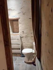 a bathroom with a toilet in a room at Charmante chambre bords du louet . in Rochefort-sur-Loire