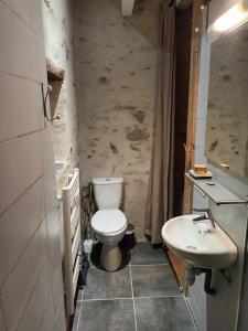 a bathroom with a toilet and a sink at Charmante chambre bords du louet . in Rochefort-sur-Loire