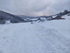 a snow covered road in front of a house at Apartamenty TRIO in Muszyna