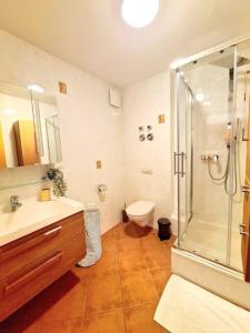 a bathroom with a shower and a toilet and a sink at Spacious one bedroom with garden&balcony in Pulvermühle