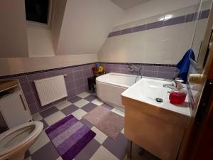 a bathroom with a sink and a tub and a toilet at Chata u cestaře in Loučná pod Klínovcem