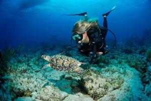 a person taking a picture of a turtle in the ocean at Tulixx Cayman Villa 