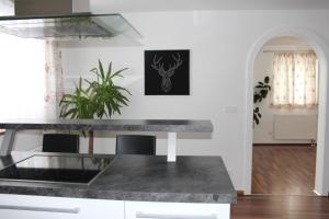 a kitchen with a gray counter top in a room at Ferienwohnung mit Blick auf die Berge in Bad Vigaun