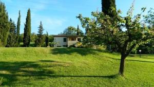 una casa en un campo con un árbol en primer plano en Ferienwohnung für 4 Personen ca 80 qm in Castiglione d'Orcia, Toskana Provinz Siena, en Campiglia dʼOrcia