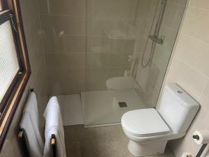 a small bathroom with a toilet and a shower at Apartamento Tabaiba in Tamaduste +11 photos