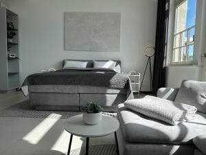 a bedroom with a bed and a couch and a table at MEOS 1 -Zentrum-Balkon-Parkplatz-Gym-Uniklinik in Leipzig +19 photos