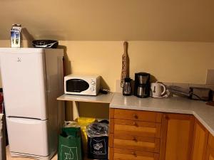 eine Küche mit einem weißen Kühlschrank und einer Mikrowelle in der Unterkunft Große Ferienwohnung in Nesselwängle in Nesselwängle