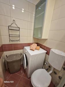 ein kleines Bad mit WC und Waschbecken in der Unterkunft Studio für 6 Personen ca 90 qm in Marina, Dalmatien Kaštela und Umgebung - b53669 in Marina