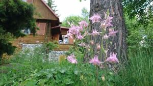 Fotografie z fotogalerie ubytování Ferienhaus direkt am See mit Garten und Parkplatz ve Frymburku + 11 fotografií