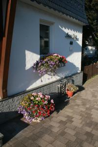 Zahrada ubytování Pension Haus Butz