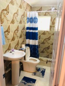 a bathroom with a toilet and a sink and a shower at Apartamento Carmen in Santa Cruz de Barahona