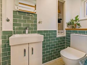 a bathroom with a sink and a toilet and green tiles at 1 bed property in Torrington 86890 in Shebbear