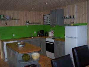 cocina con nevera blanca y paredes verdes en Großes Holzferienhaus mit Sauna in der Nähe von Wasser und Skicenter, en Vradal