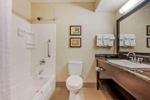 a bathroom with a white toilet and a sink at Comfort Inn Airport Turfway Road in Florence