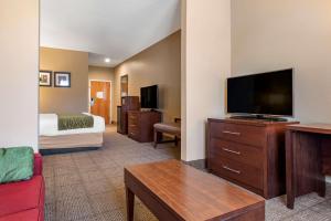 Habitación de hotel con cama y TV de pantalla plana. en Comfort Inn Amite en Amite