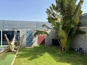 a garden with a palm tree in the yard at ChezBabo in Ngaparou