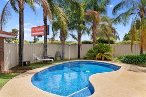 a swimming pool in a yard with a fence and palm trees at Econo Lodge Border Gateway Wodonga in Wodonga