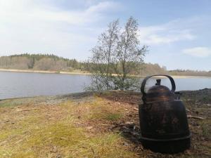 a tea kettle sitting on the ground next to a lake at Lake Cabin in Stockholm