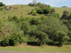 einen Hang mit Bäumen und Sträuchern an der Seite einer Straße in der Unterkunft Ferienwohnung für 4 Personen ca 80 m in Niederehe, Rheinland-Pfalz Naturpark Vulkaneifel in Niederehe