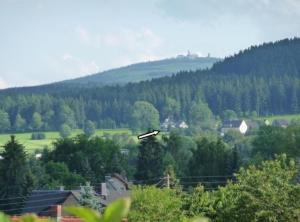 a bird flying in the sky over a village at Ferienhaus Erzgebirge Familie Ziller, Crottendorf in Crottendorf