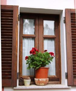 una ventana con una maceta en el alféizar de la ventana en Gästezimmer für 2 Personen 1 Kind ca 30 qm in Loiri Porto San Paolo, Sardinien Gallura - b58190, en Biacci