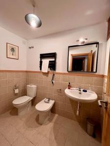 W łazience znajduje się toaleta, umywalka i lustro. w obiekcie Casa María da Reza w mieście Ribadavia