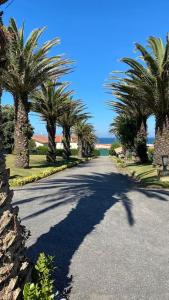 una carretera con palmeras a sus lados en Grande propriedade exclusiva na praia 10' do Porto - Casa das Marinhas en Vila Nova de Gaia