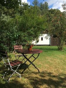 a picnic table and a chair with a potted plant on it at Ferienhaus Knorburg im Herzen Nordfrieslands in Enge-Sande