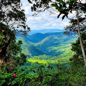 con vistas a un frondoso valle verde con árboles en Versall Homestead en Petrópolis