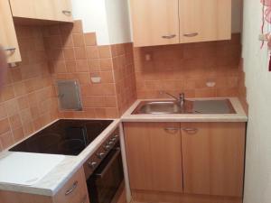 a small kitchen with wooden cabinets and a sink at Modernes Ferienhaus in bergiger Lage nahe Kärntner Seelandschaft 