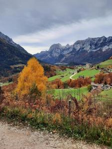 un chemin de terre avec des montagnes en arrière-plan dans l'établissement Wohnung in Pidingerau mit Großer Terrasse, à Piding