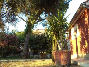 twee palmbomen voor een gebouw bij Strandnahes, kleines Ferienhaus mit schattiger Terrasse und Gartennutzung, ruhig gelegen in der Nähe von Zadar in Bibinje