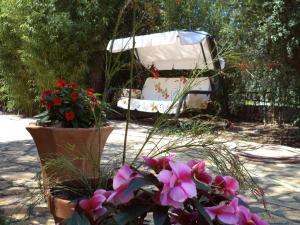 een tuin met een stoel en bloemen in een tuin bij Strandnahes, kleines Ferienhaus mit schattiger Terrasse und Gartennutzung, ruhig gelegen in der Nähe von Zadar in Bibinje