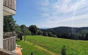 vistas a un campo de césped verde con árboles en Studio für 3 Personen ca 30 qm in Sankt Englmar, Bayern Bayerischer Wald, en Hilm