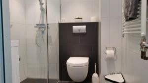 La salle de bains est pourvue de toilettes et d'une douche en verre. dans l'établissement KLAPROOS Bed by the Sea, à Westkapelle